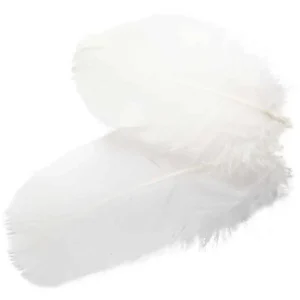 expo_sku-219708-cch51816-10.webp