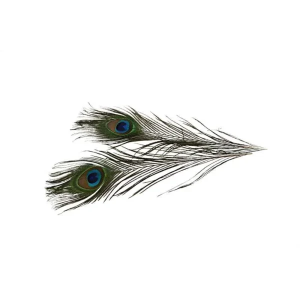 expo_sku-239034-cch51810-10.webp