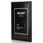 Ram Galant