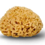 Natursvamp