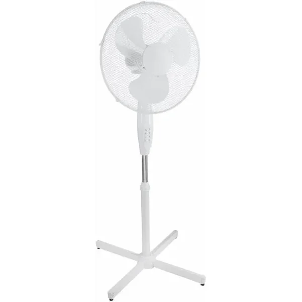 expo_sku-693354-fan8556170-10.webp